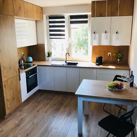 Mieszkanie,kawalerka Do Wynajecia Apartmán