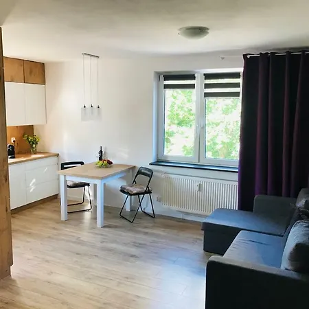 Mieszkanie,kawalerka Do Wynajecia *
